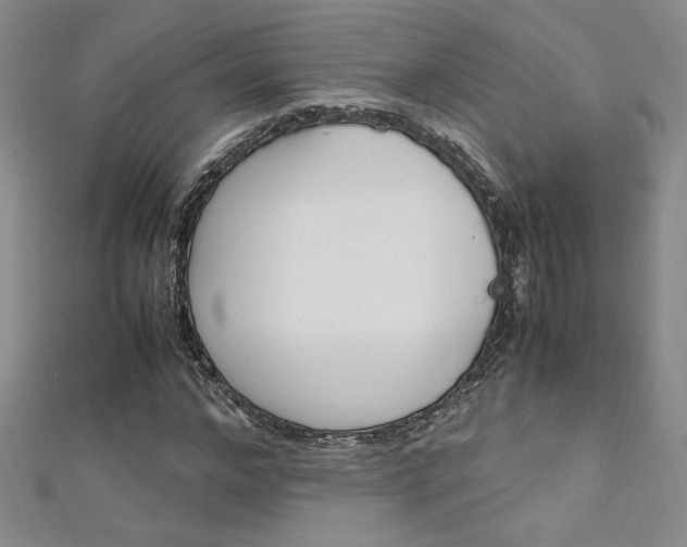 X0000111650968200907171055