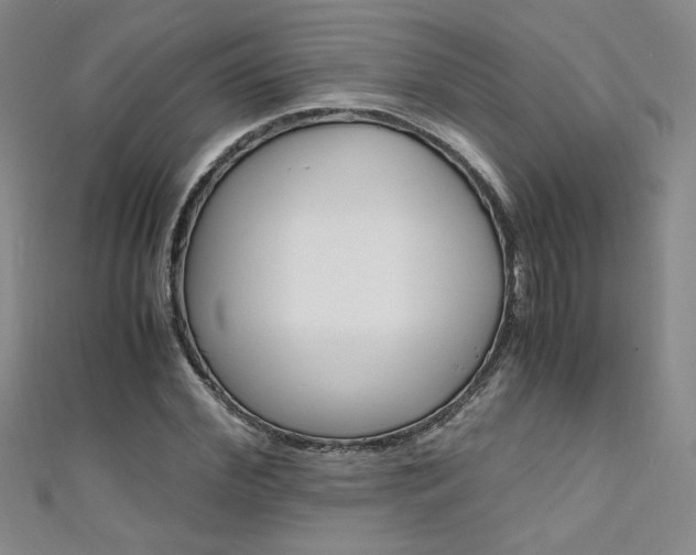X0000111650972200907171055