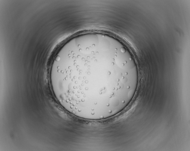 X0000111650974200907171055