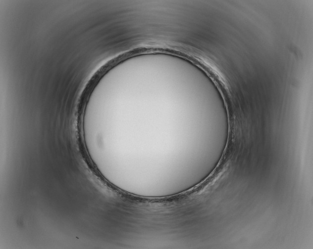 X0000111650976200907171055