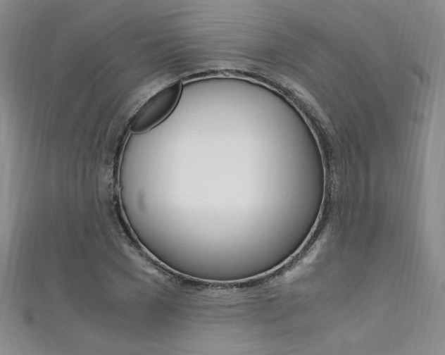 X0000111650977200907171055