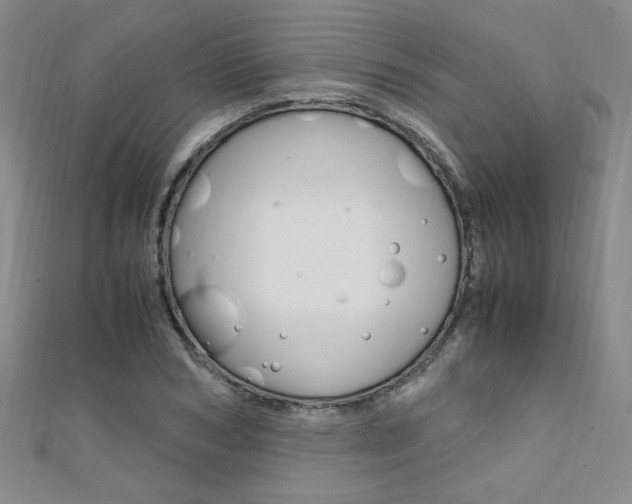 X0000111650978200907171055