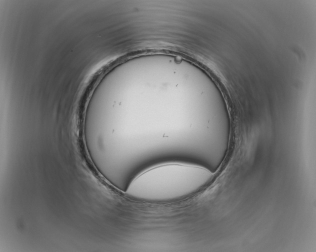 X0000111650979200907171055