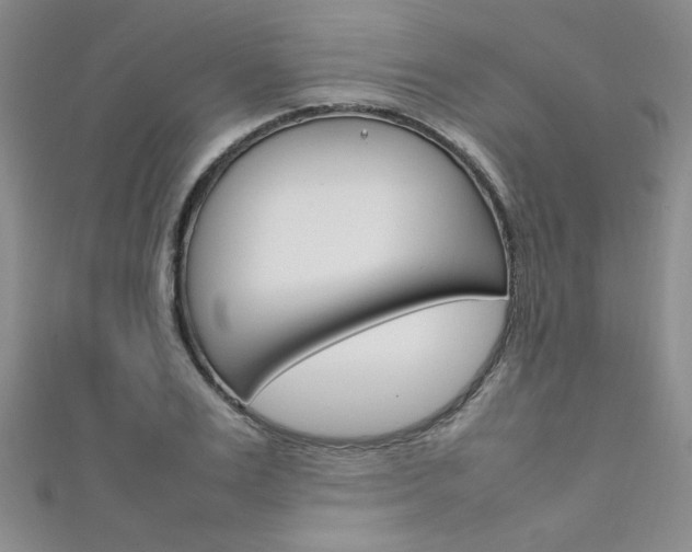 X0000111650983200907171055