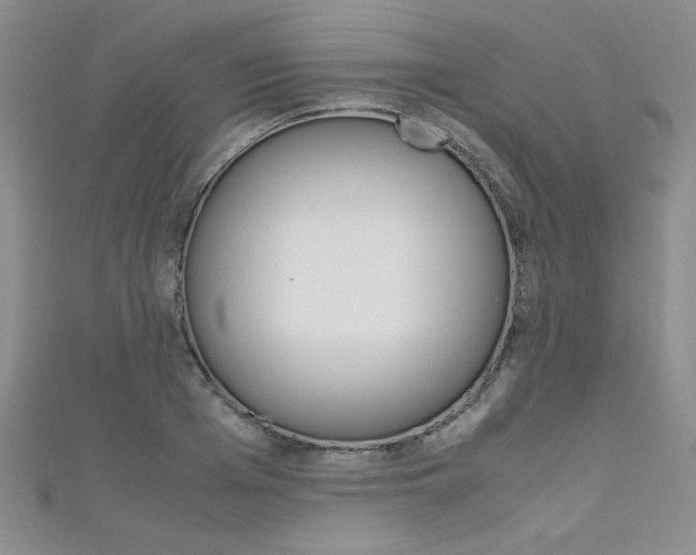 X0000111650985200907171055