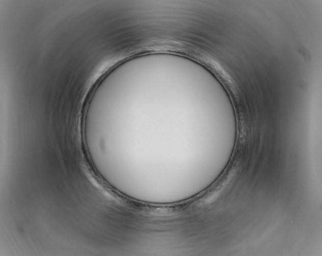 X0000111650986200907171055