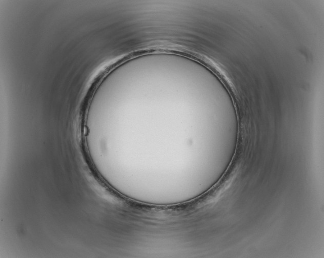 X0000111650987200907171055