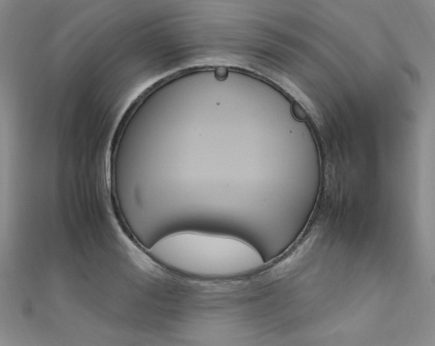 X0000111650988200907171055