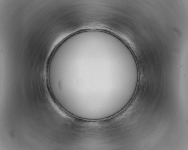 X0000111650990200907171055