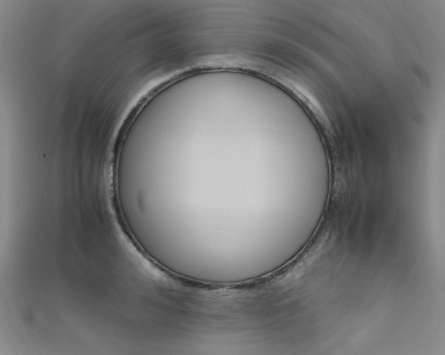 X0000111650992200907171055