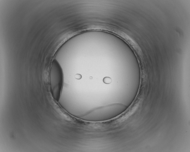 X0000111650993200907171055