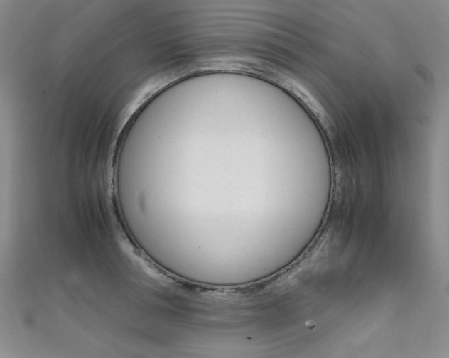 X0000111650994200907171055