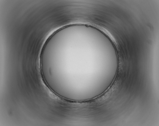 X0000111650996200907171055