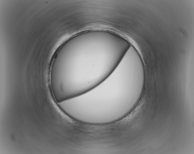 X0000111650997200907171055