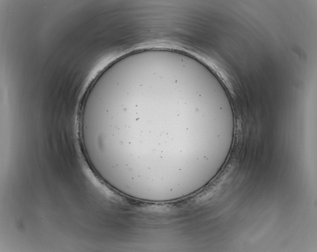 X0000111650998200907171055