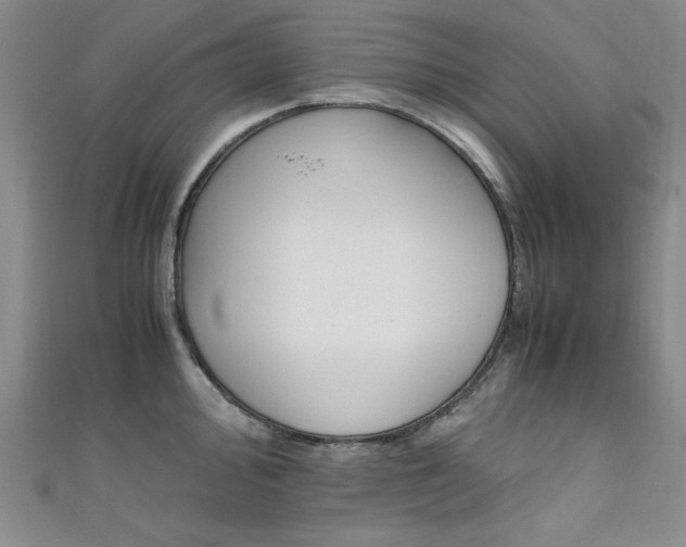 X0000111651000200907171055