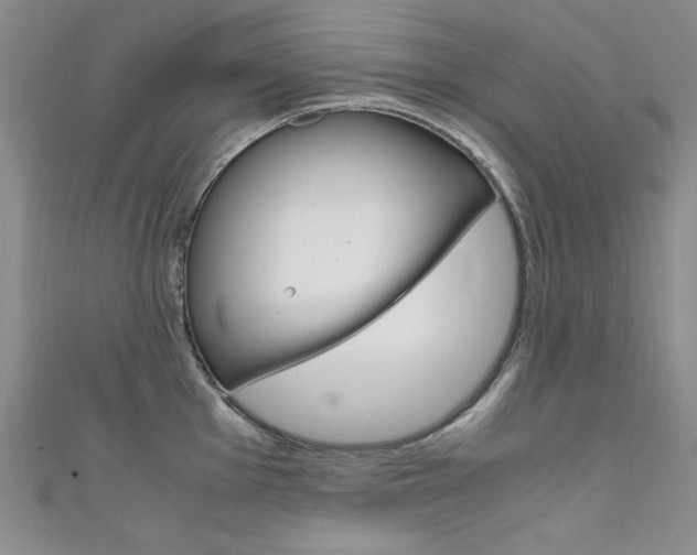 X0000111651001200907171055