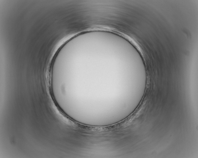 X0000111651003200907171055