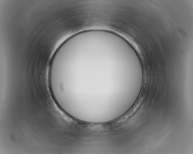 X0000111651006200907171055