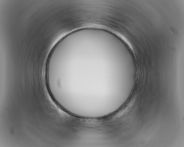 X0000111651007200907171055