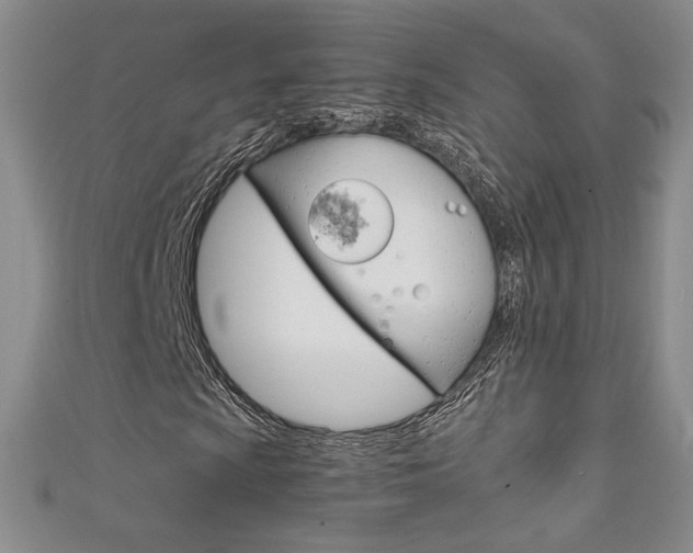 X0000111651009200907171054