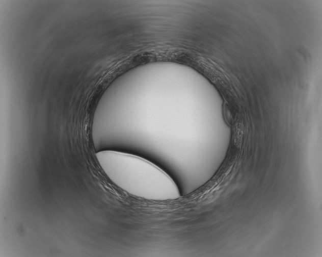 X0000111651010200907171054
