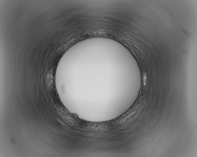 X0000111651011200907171054