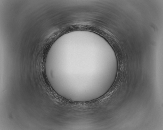 X0000111651014200907171054