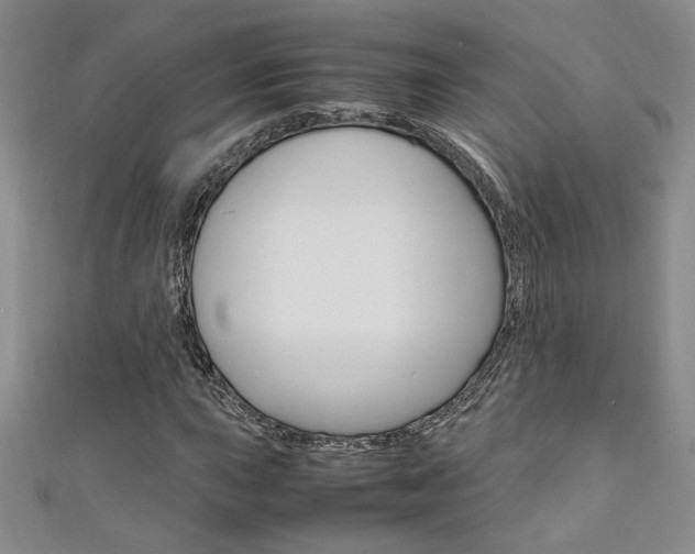 X0000111651015200907171054