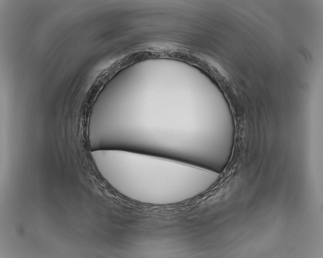 X0000111651016200907171054