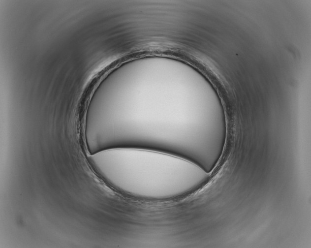 X0000111651018200907171054