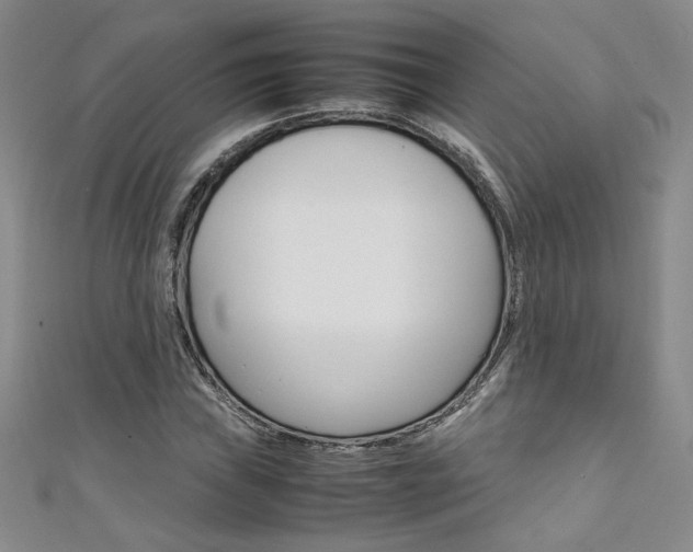 X0000111651019200907171054