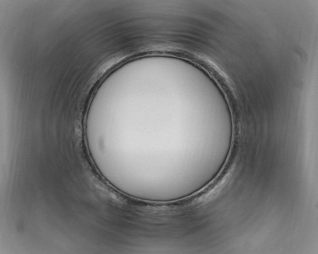 X0000111651025200907171054