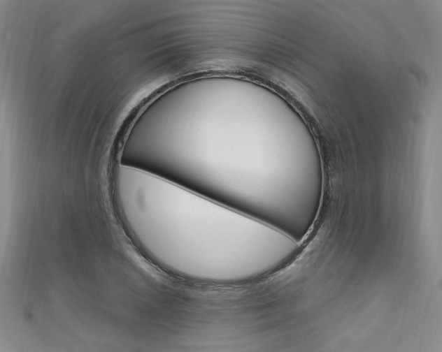 X0000111651026200907171054