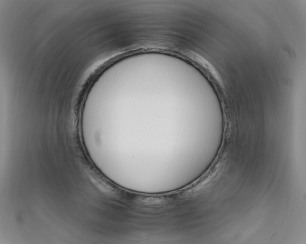 X0000111651027200907171054