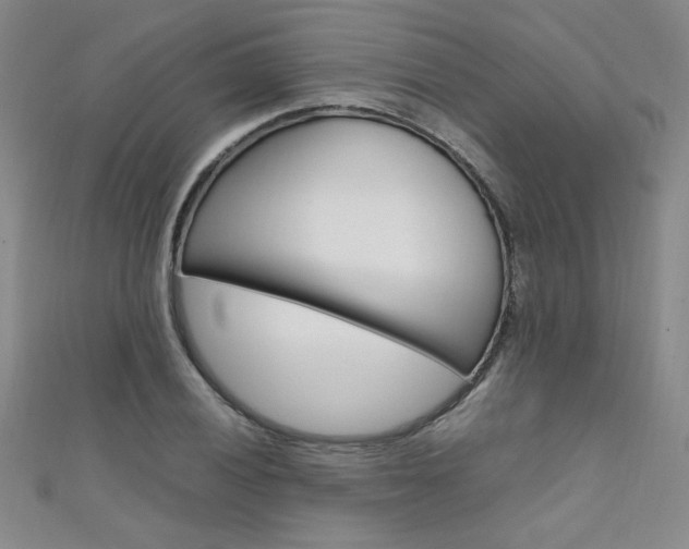 X0000111651028200907171054