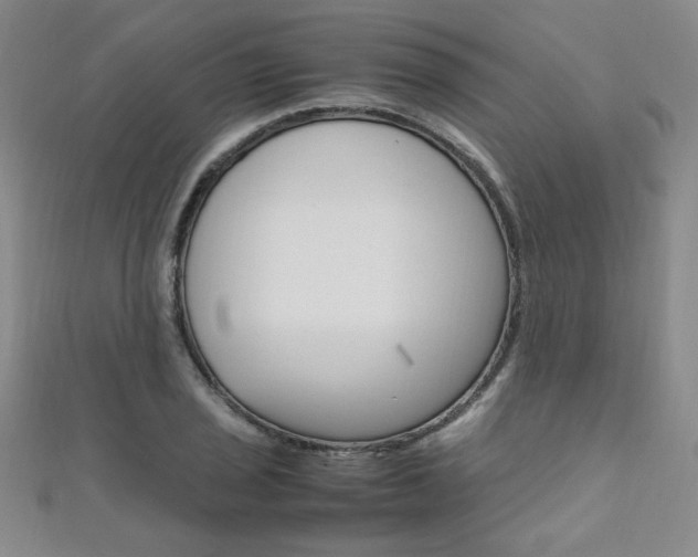 X0000111651029200907171054
