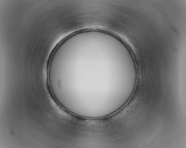 X0000111651032200907171054