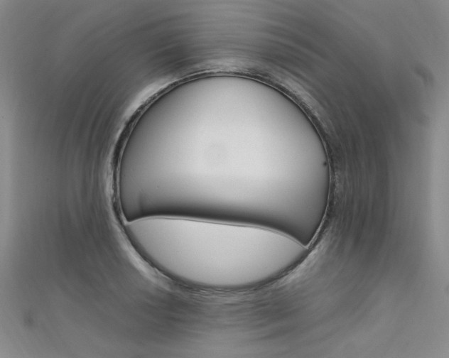 X0000111651034200907171055