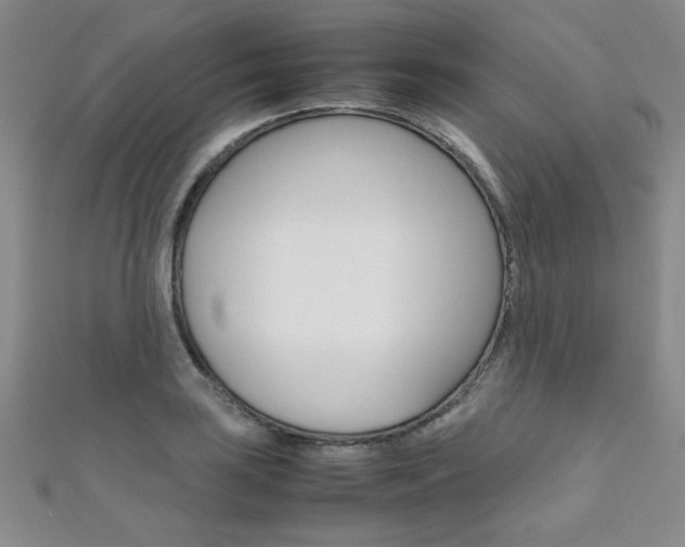 X0000111651035200907171055