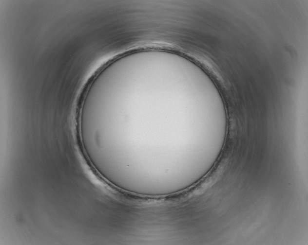 X0000111651038200907171055