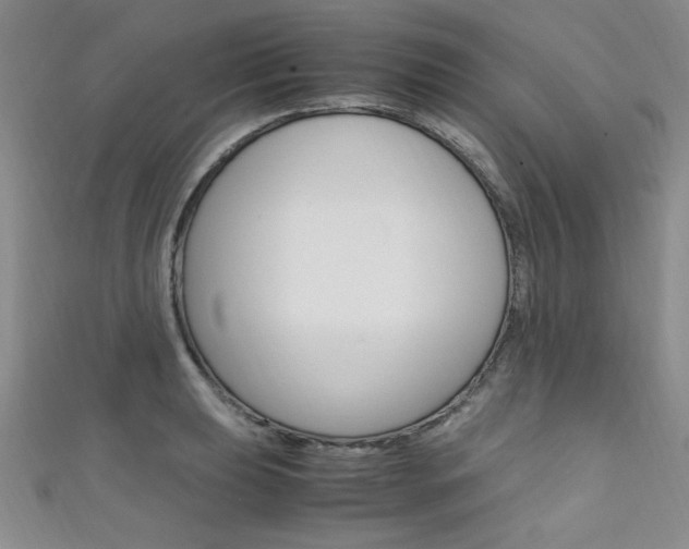 X0000111651039200907171055