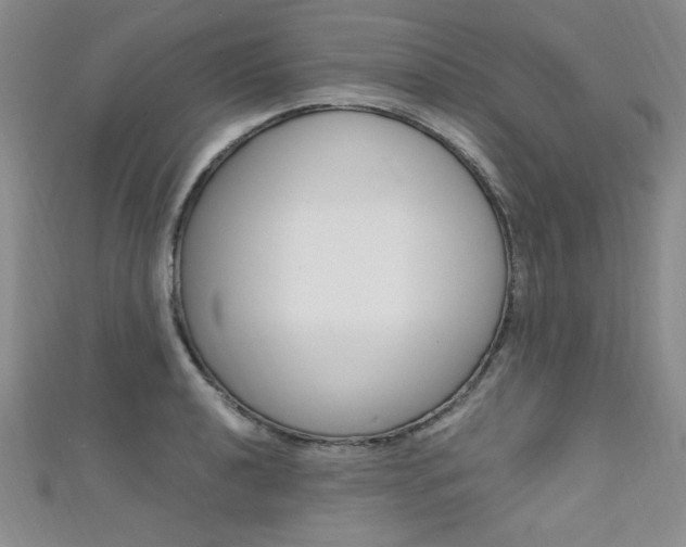 X0000111651040200907171055