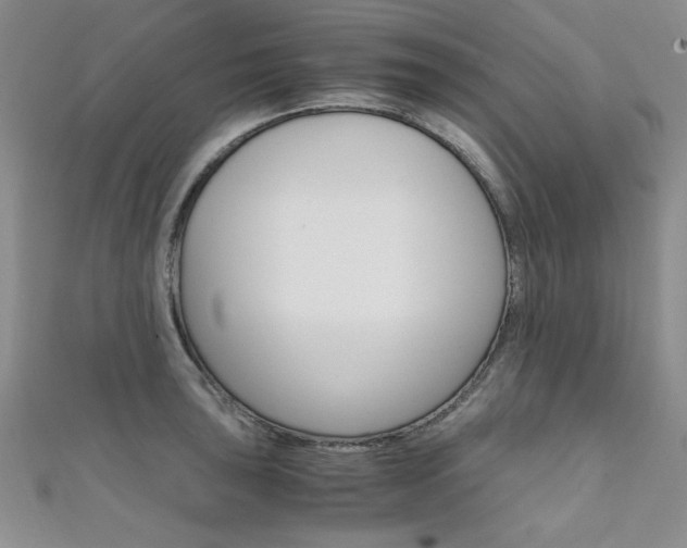 X0000111651043200907171055