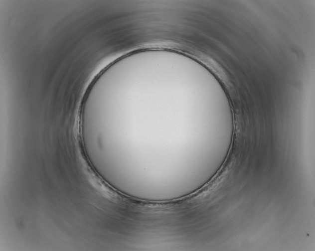 X0000111651044200907171055