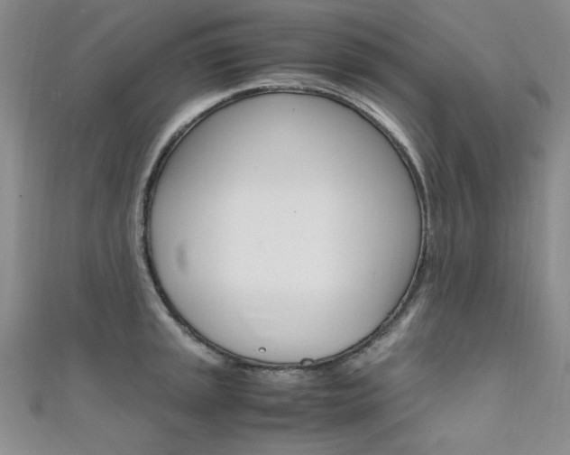 X0000111651045200907171055