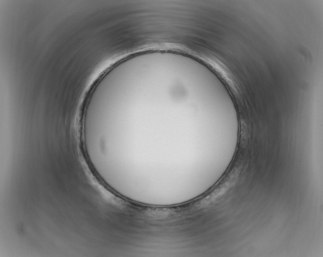 X0000111651046200907171055