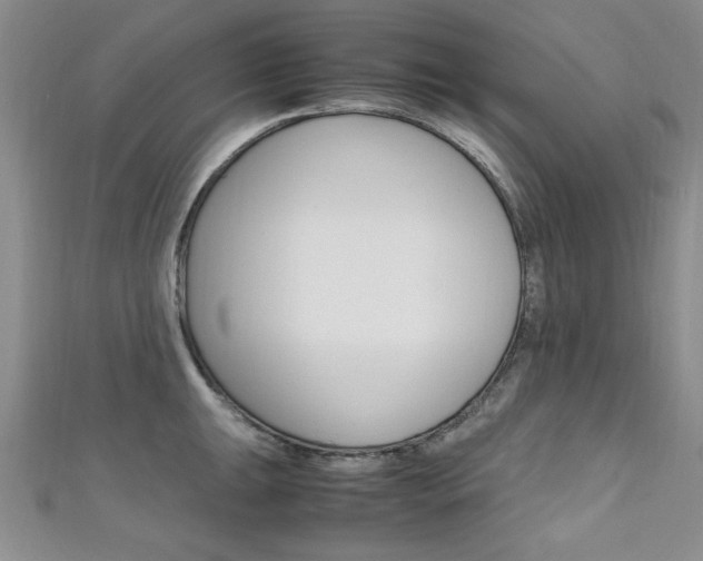 X0000111651047200907171055