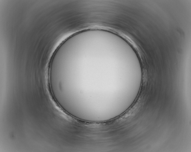 X0000111651048200907171055