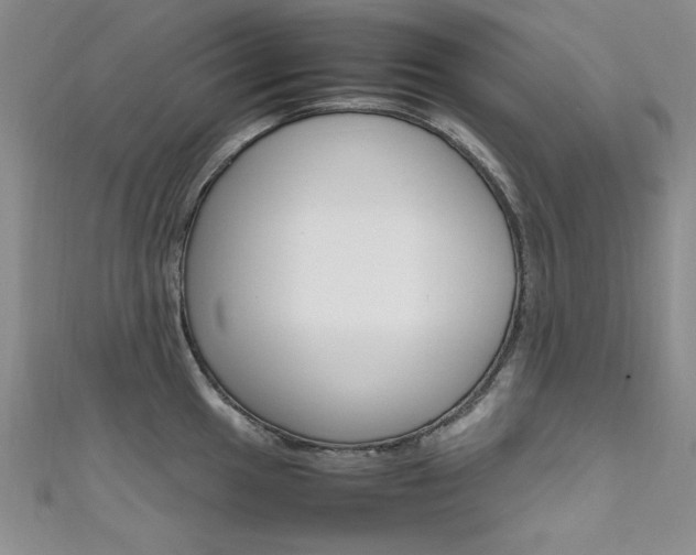 X0000111651049200907171055